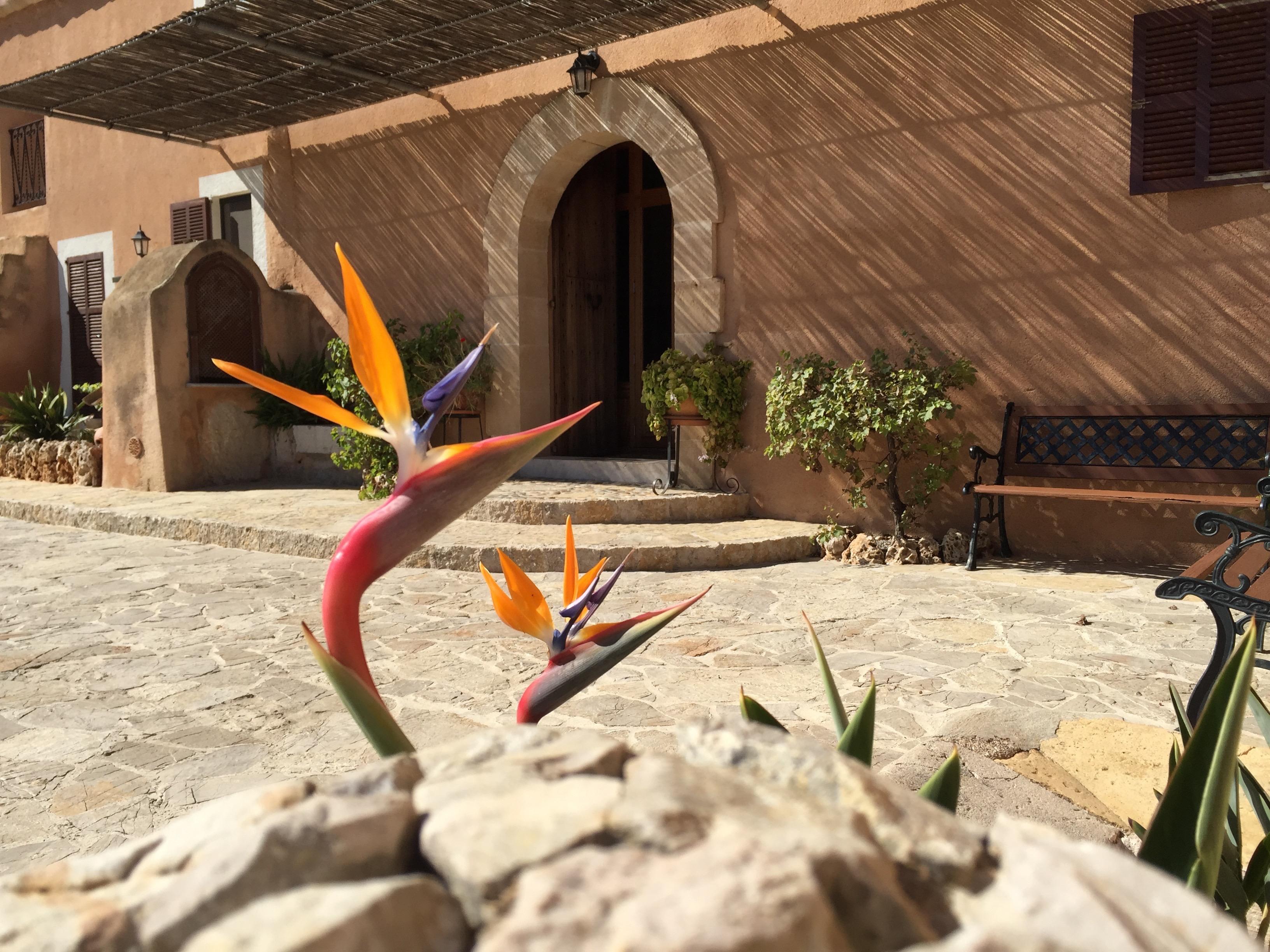 Agroturisme Es Picot Son Macia  Exteriér fotografie