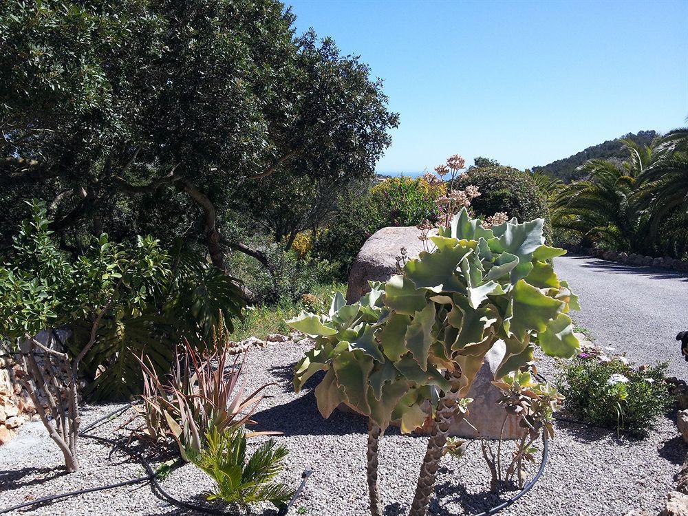 Agroturisme Es Picot Son Macia  Exteriér fotografie